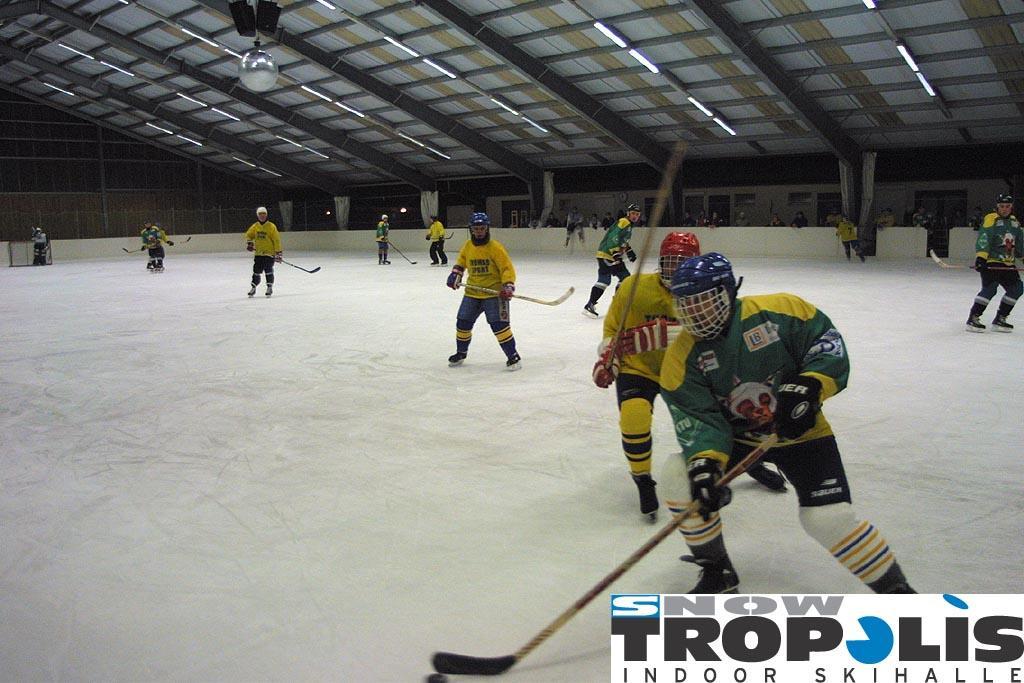 Ferienhauser An Der Skihalle Snowtropolis Villa Horlitz Luaran gambar